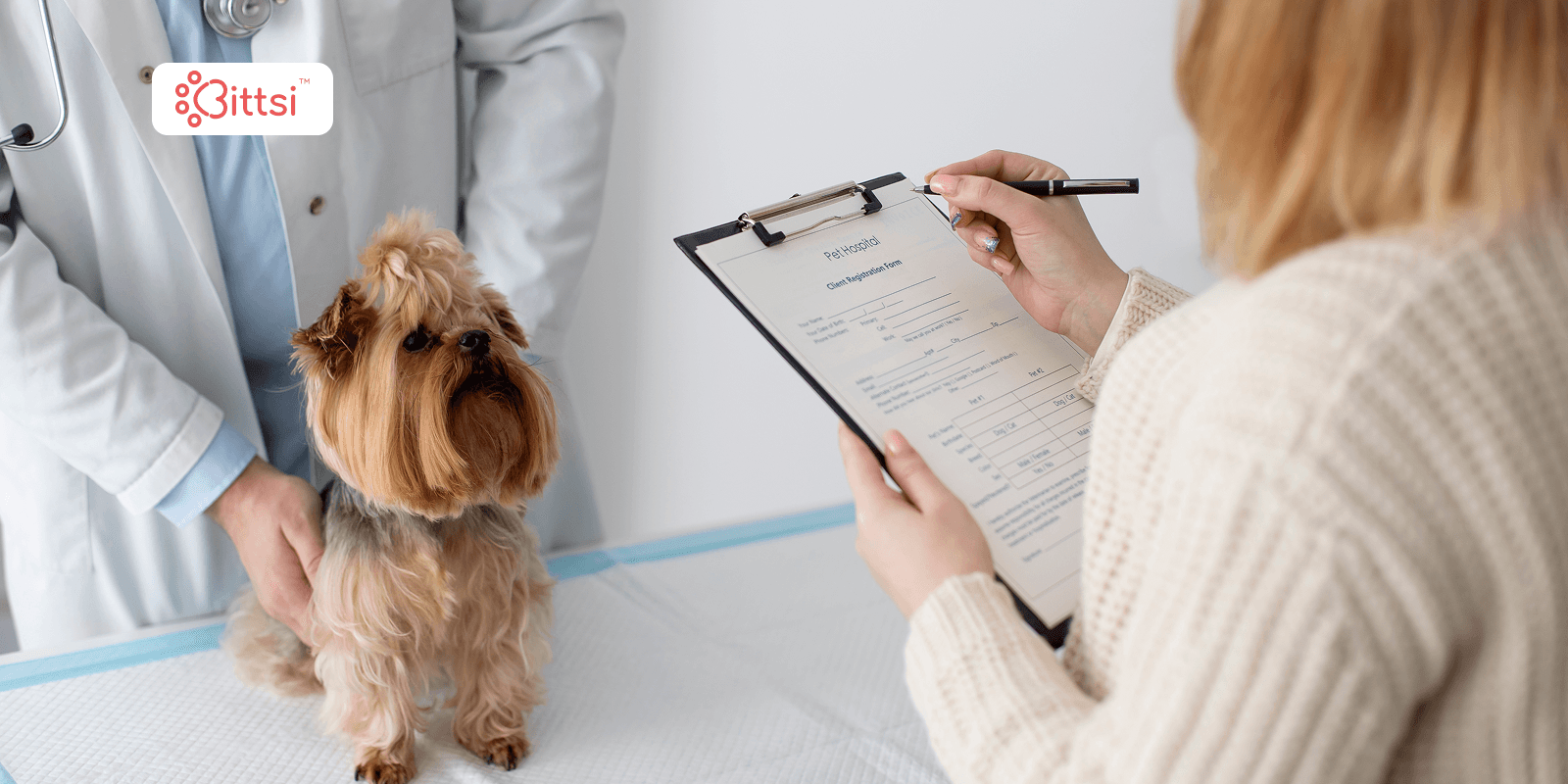 How a Veterinary AI Scribe Reduces Documentation Time